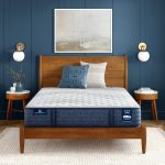 Somnia Extra Firm 11.5" Latex Foam Mattress